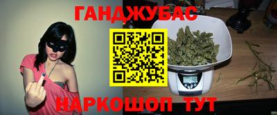 прущие грибы Нальчик