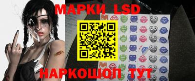 прущие грибы Нальчик